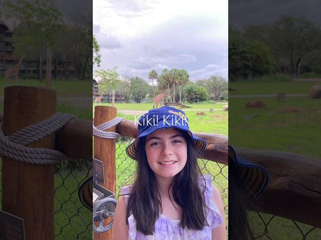 No Kiki!!!