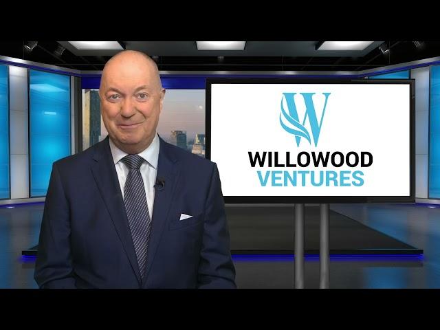 Comprehensive Marketing for Dealerships: Willowood Ventures Has You Covered