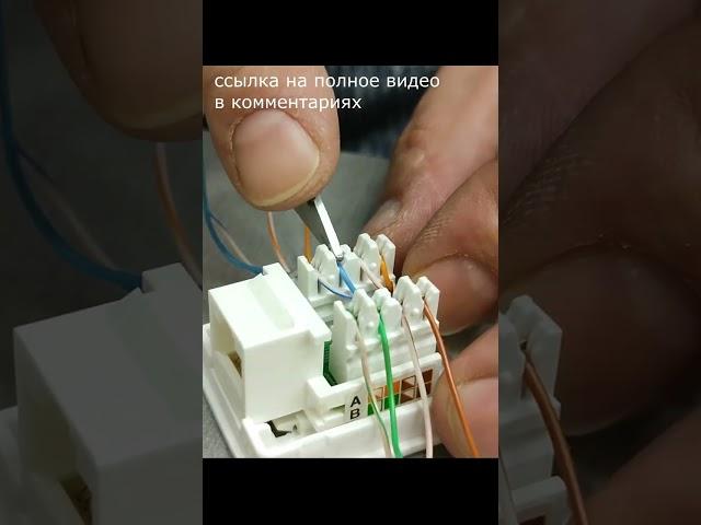 как подключить интернет кабель без обжимных клещей и штекера