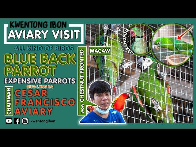 EXPENSIVE & RARE PARROTS COLLECTION NI CESAR FRANCISCO | FARM VISIT | AVIARY VISIT | MACAW | SC IRN