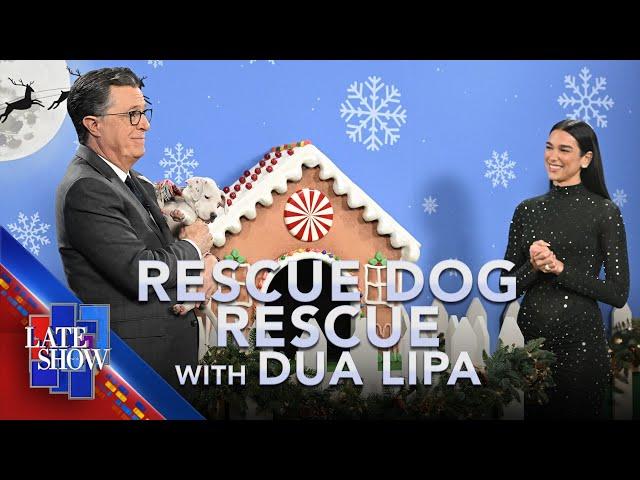 Rescue Dog Rescue with Dua Lipa - Holiday Edition