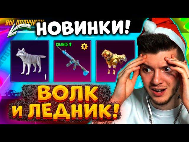 ВЫБИЛ ВОЛКА и СКИН! M416 ЛЕДНИК С ПОВЫШЕННЫМ ШАНСОМ В ПУБГ МОБАЙЛ / PUBG MOBILE