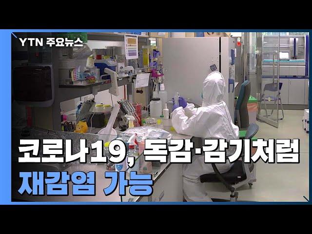 "코로나19, 독감·감기처럼 재감염 가능" / YTN