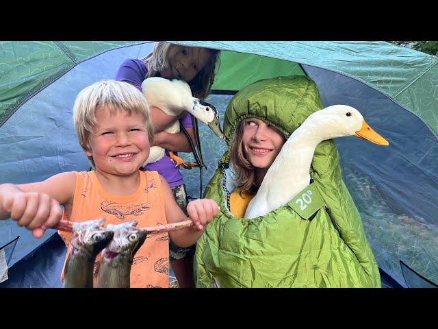 24 Hours Camping and Fishing with Our Ducks at the Homestead Campground