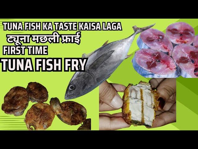 Tuna Fish Fry | Tuna Fish Review |Tuna Fish Ka Taste Kaisa Laga #tunafish #fishmarket @juwerianihal