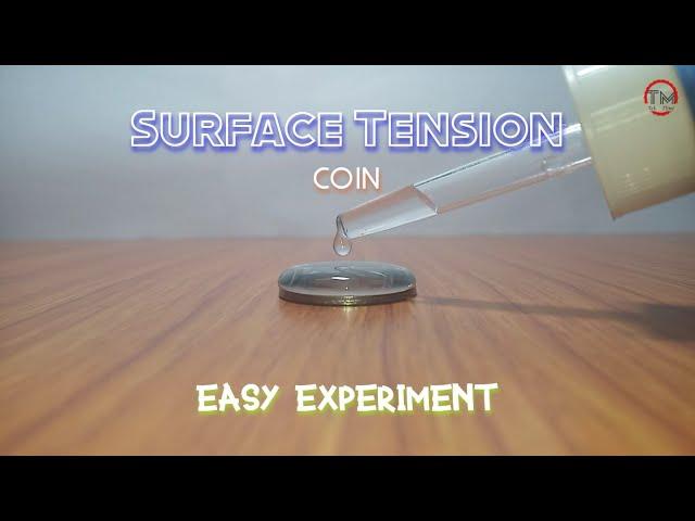 Surface Tension of Coin | Easy Experiment to do at home