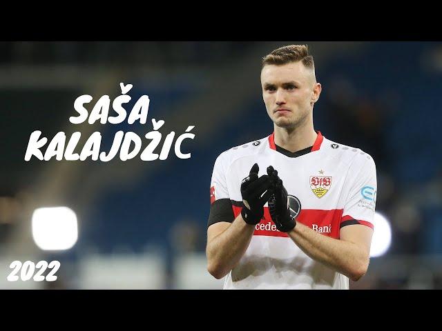 Sasa Kalajdzic 2022 ● Best Goals and Skills [HD]