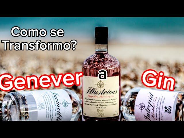 Mr. Curioso - De Genever a Gin?