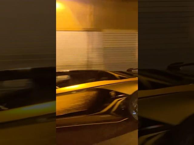 V12 LAMBORGHINI SOUND  #shorts #viralvideo #lamborghini #v12 #carshorts #aventador #sound #svj