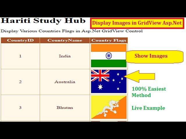 Display Images in GridView from Database in Asp.Net C# | English | Online Learning Classes