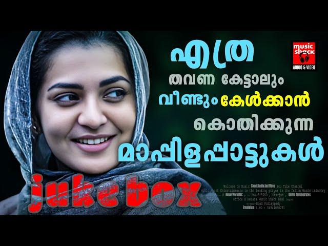 വീണ്ടും കേൾക്കാൻ കൊതിച്ച മാപ്പിളപ്പാട്ടുകൾ | Mappila Songs | Old Mappilappattukal | Mappilappattukal