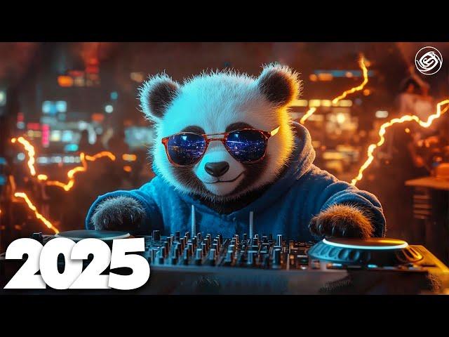 Best Music Mix 2025  EDM Mix of Popular Songs 2025  EDM Bass Boosted Music Mix 2025