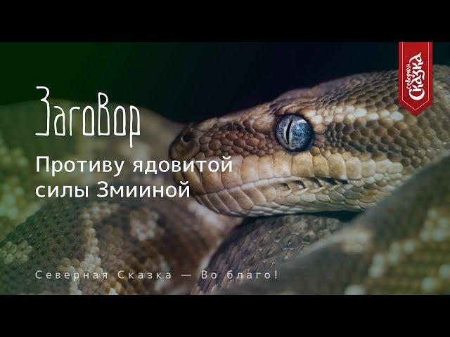 Защитный заговор от врагов-змей