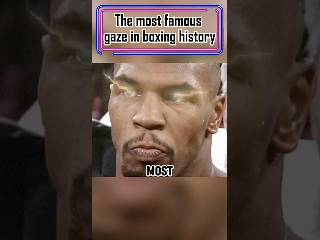 The most famous gaze in boxing history#knockout #boxing #mma