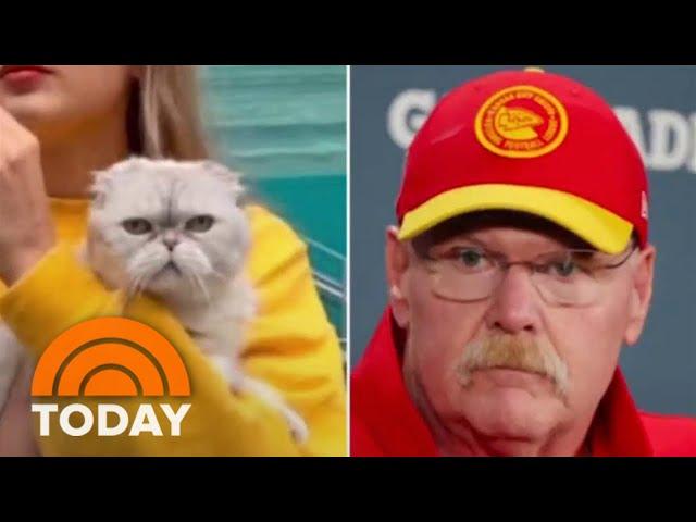 Taylor Swift fan suggests Chiefs' Andy Reid oddly looks like her cat