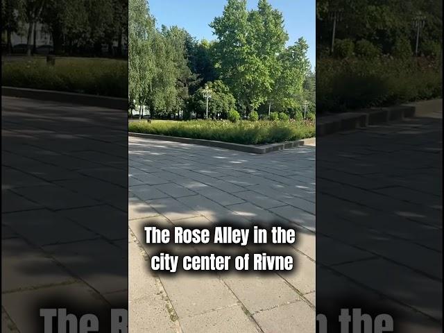 The Rose Alley in the city center of Rivne