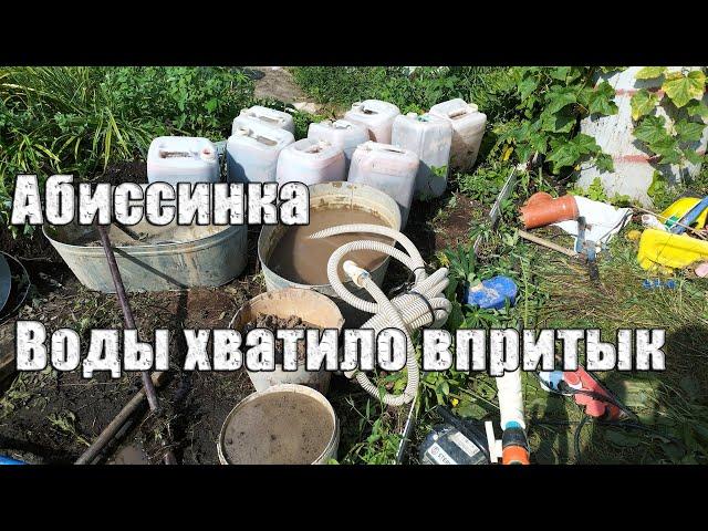 Почти закончилась вода на бурении. Абиссинская скважина Наро-Фоминский район. 1700+ л/час