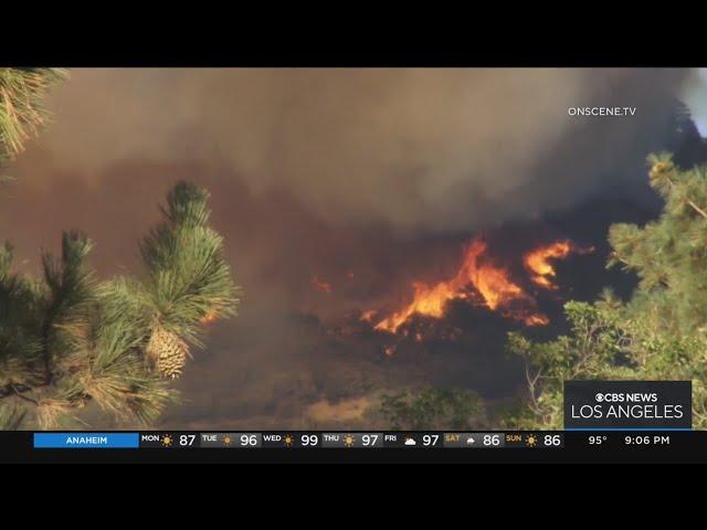 Radford Fire in Big Bear burns 200 acres