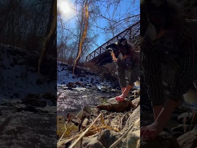 16 mirrors { #strangehuman #nature #alterhuman #theriantropy #winter }