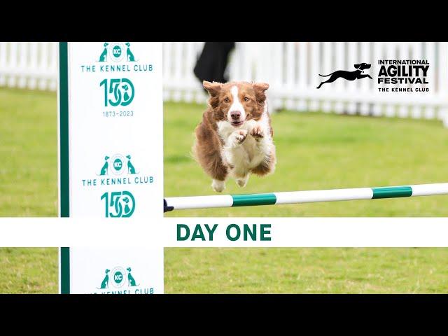 The Kennel Club International Agility Festival 2024 | Day 1 Main Ring