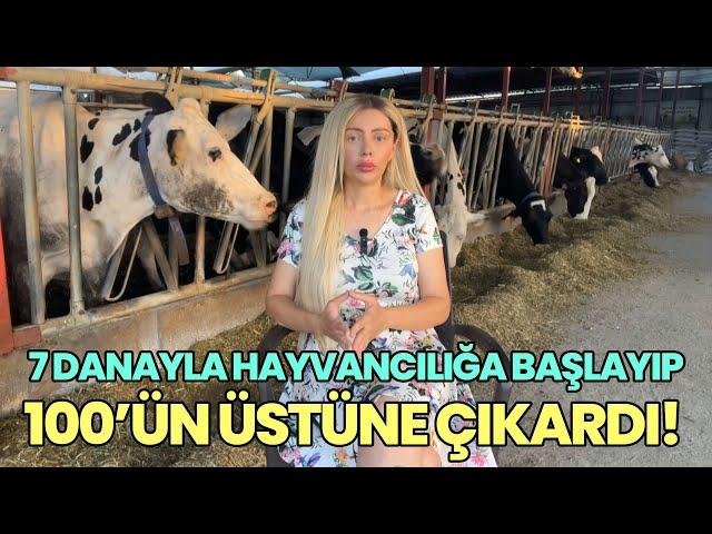 7 Danayla Hayvancılığa Başlayıp 100’ün Üstüne Çıkardı! / Eleştirilere Rağmen Hayvancılığı Bırakmadı!