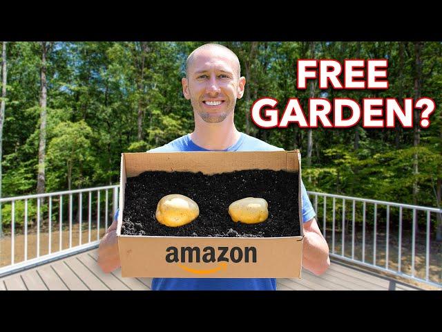 What Happens When You Plant Potatoes In Cardboard Boxes?