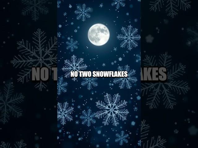 The Astonishing Journey of a Snowflake