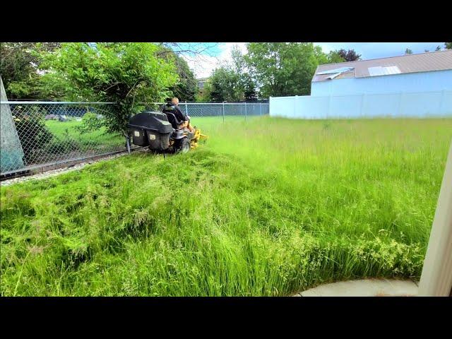 Homeowner UNABLE To MOW His Tall Grass For 3 MONTHS Gets A LAWN MAKEOVER