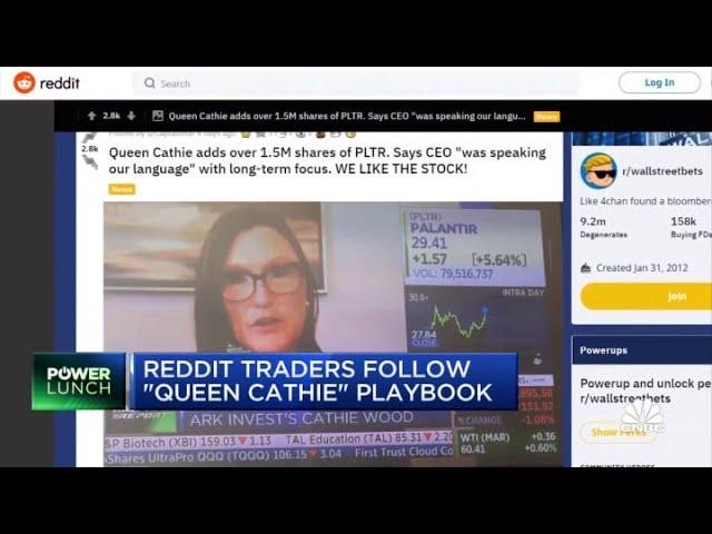 Reddit traders follow playbook from 'Queen' Cathie Wood