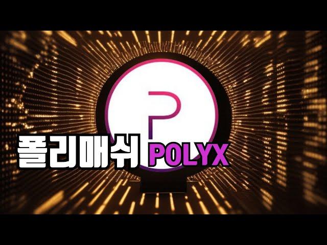 폴리매쉬 코인 전망 / 폴리매쉬 코인이란? 닥투