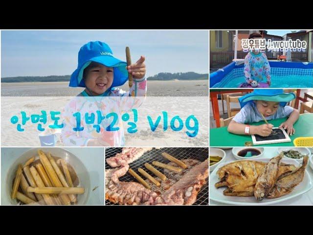 [태안여행] 여행vlog | 안면도 1박2일 맛조개 잡기, 태안 맛집 찾기, 펜션 수영장 즐기기, 쥬라기 공룡박물관| 정우튜브