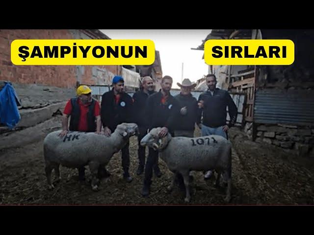 ŞAMPİYON Ailenin Sırları Açığa Çıkıyor!