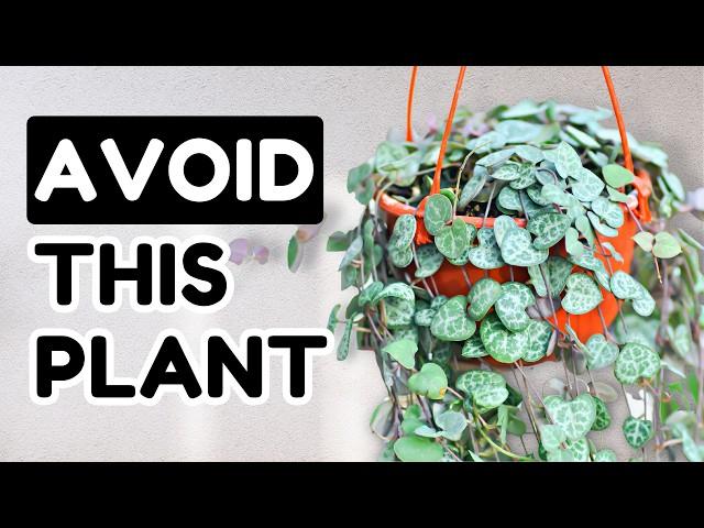 10 Popular Plants You Shouldn't Buy