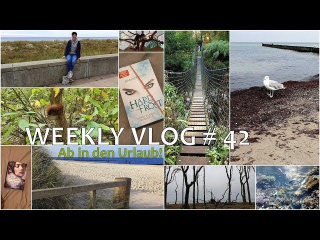 WEEKLY VLOG  #42 |Tiere, Bücher und das Meer // Ab in den Urlaub!