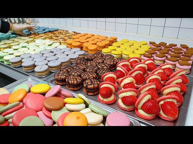 BEST 5 Macaron making video