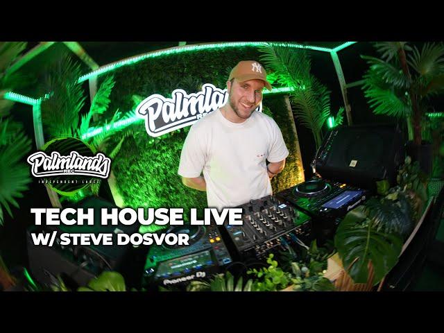 Steve Dosvor - Tech House Live on PALMLANDS 26.02.2025