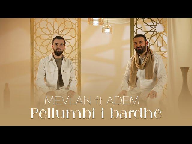 MEVLAN & ADEM | Pëllumbi i bardhë