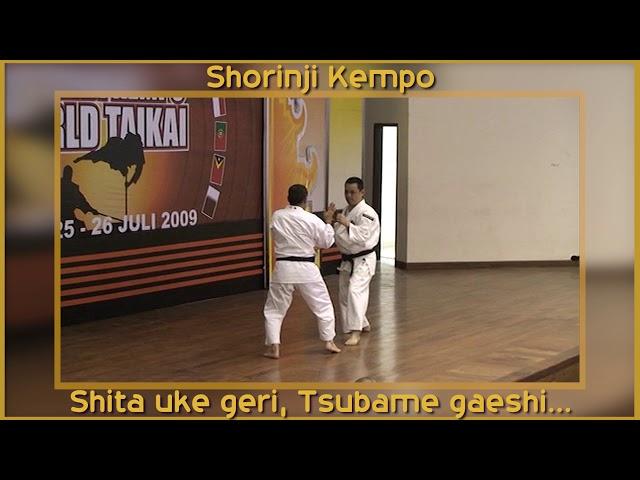 Sensei  Kawashima, kihon, basics techniques Shorinji Kempo, shita uke geri, tsubame gaeshi.   少林寺法