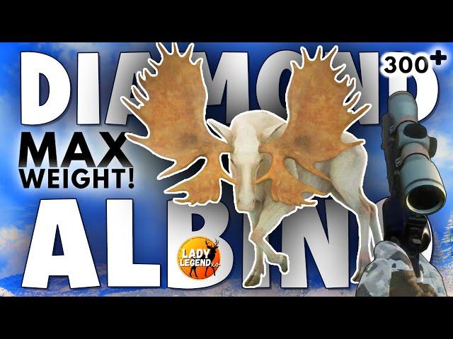 300+ MAX WEIGHT DIAMOND ALBINO MOOSE & I am in SHOCK!!! - Call of the Wild