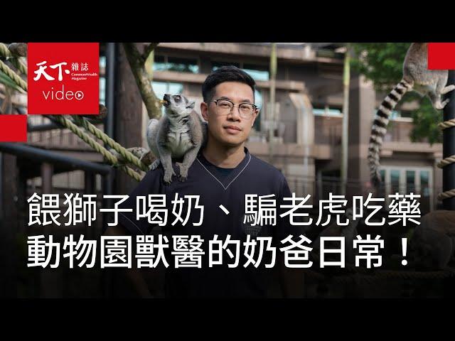 【天下44週年特別報導】包辦犀牛老虎生老病死，動物園獸醫師吳炫毅：照護動物要用100%的心力｜新職人精神・幫台灣升級的人