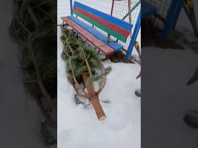 а что? и как?