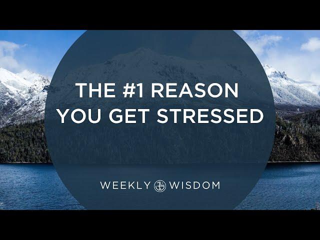 The #1 Reason You Get Stressed | 3-Minute Tip