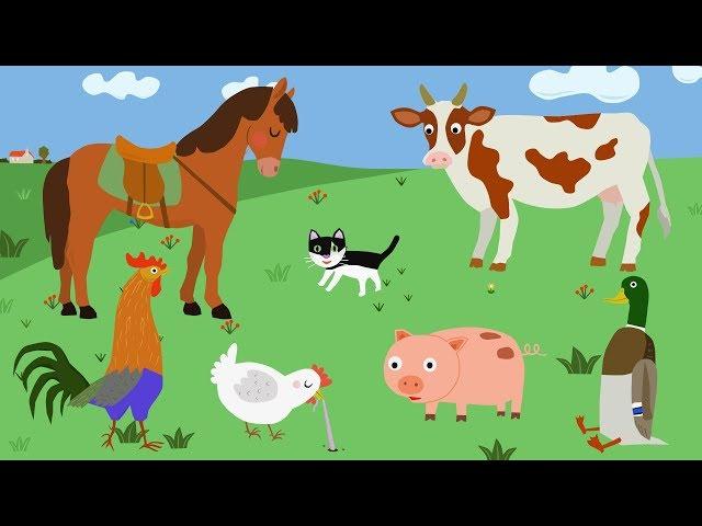 Pets on the farm. Lessons from magpies