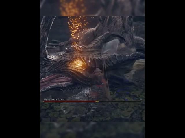 Elden ring stuff#funny #eldenring #gaming #darksouls #eldenringgameplay #trending #shorts #games