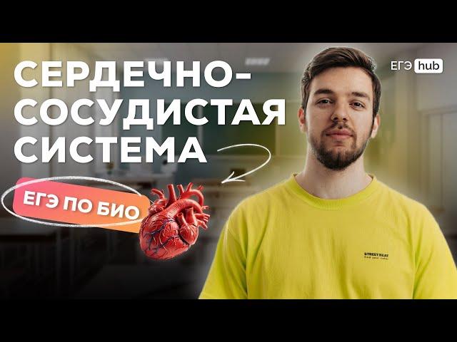 СТРОЕНИЕ СЕРДЦА | СЛОЖНЫЕ СЛУЧАИ ИЗ ЕГЭ | ТАМЕРЛАН ХАРДИ