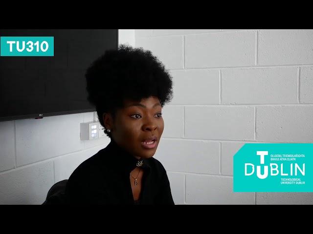 TU310 MSc International Business