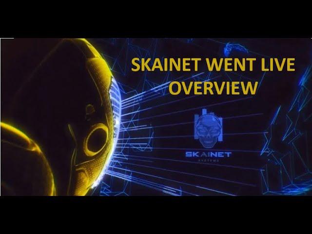 Skainet Live & Overview (100% passive income regulated)