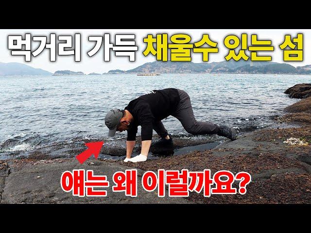 싱싱한 해산물을 냉장고 가득 채울수 있는 섬, 1박2일 낚시여행 / 통영 욕지도