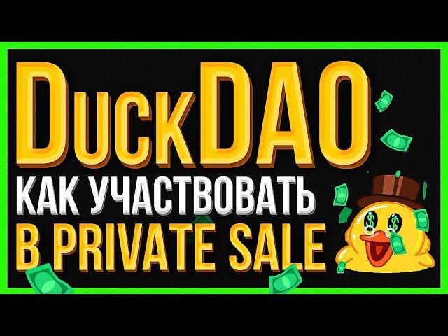 Как участвовать в IDO и Private Sale. DuckDao (DDIM). DuckStarter (DUCK)