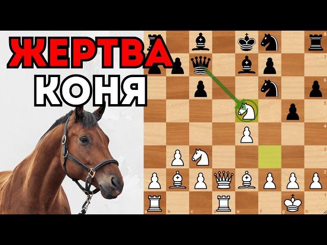 Разгром защиты Филидора за 20 ходов с жертвами